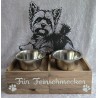 Hunde Futternapf Yorkshire Terrier Schoko Eiche