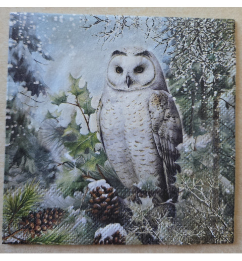 Serviette Schnee Eule