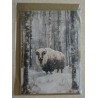 Karte Weisser Bison/Winterwald
