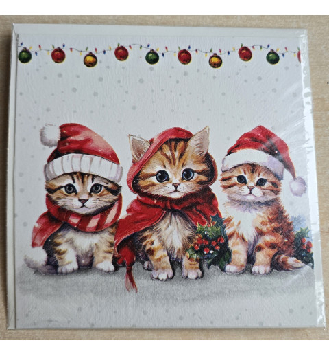Karte Drei Katzen mit Weihnachtsmützen