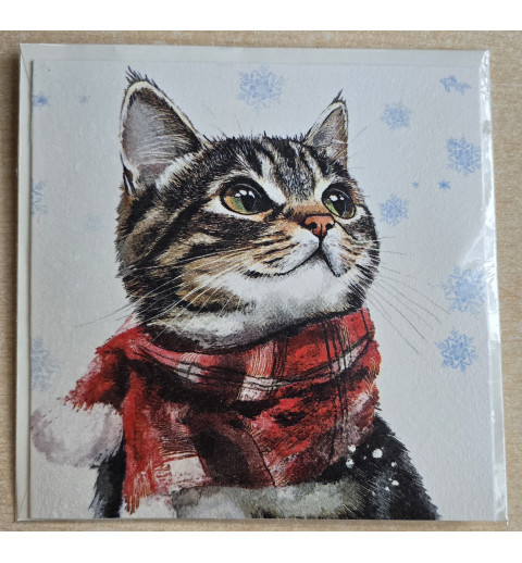 Karte Katze mit Schal