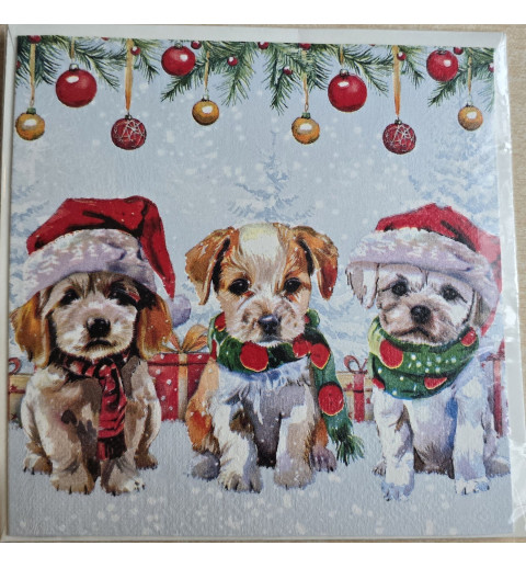 Karte Drei Hunde mit Weihnachtsmützen
