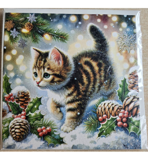 Karte Junge Katze im Schnee