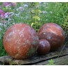 Rosteffekt Farbe