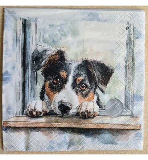 Serviette Hund/Fenster