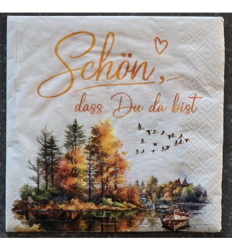 Serviette "Schön, dass...."