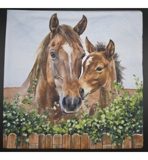 Serviette Pferd mit Fohlen am Zaun