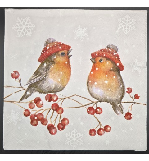Zwei Rotkelchen mit Mütze auf Ast/Winter
