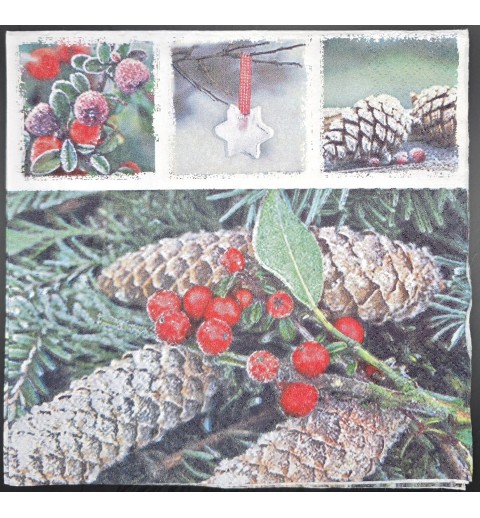 Serviette Tannenzapfen/rote Beeren/Winter