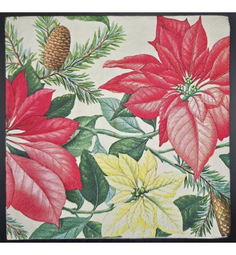 Serviette Weihnachtssterne rot-hellgrün/Tannenzapfen/Tannenzweige