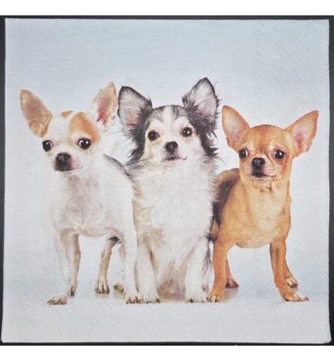 Serviette Drei Chihuahuas