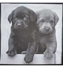 Serviette Zwei Hundewelpen grau-weiss ton