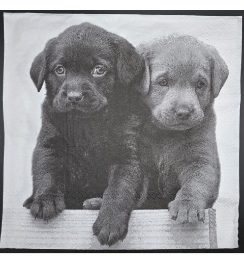 Serviette Zwei Hundewelpen grau-weiss ton