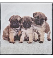 Serviette Drei Mops Welpen