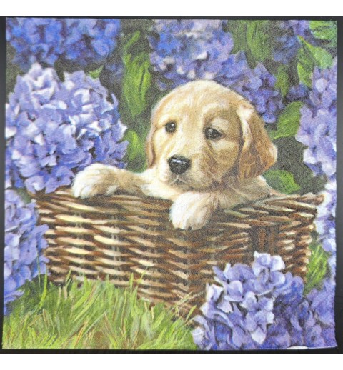 Serviette Hundewelpe in Korb/Hortensien violette