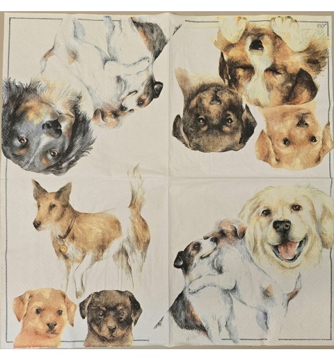 Serviette Verschiedene Hunde