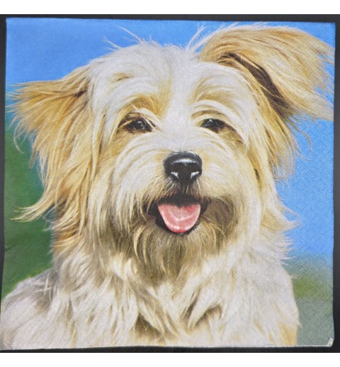 Serviette Hundekopf/Hintergrund blau