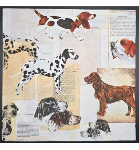 Serviette Hunderassen creme-weiss