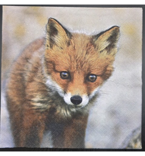 Serviette Junger Fuchs