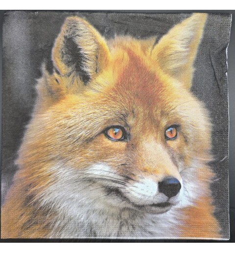 Serviette Fuchskopf/Hintergrund dunkel