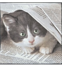 Serviette Katze grau-weiss versteckt sich unter Zeitung