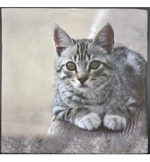 Serviette Liegende Tigerkatze auf Ast/grauer Hintergrund