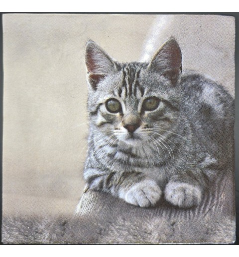 Serviette Liegende Tigerkatze auf Ast/grauer Hintergrund