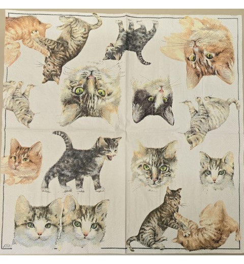 Serviette Verschiedene Katzenrassen