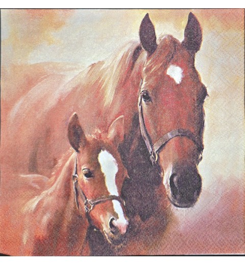 Serviette Pferd mit Fohlen/Hintergrund orange-creme