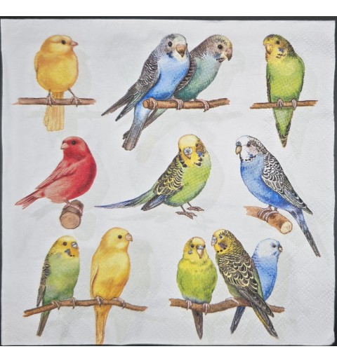 Serviette Verschiedene Wellensittiche