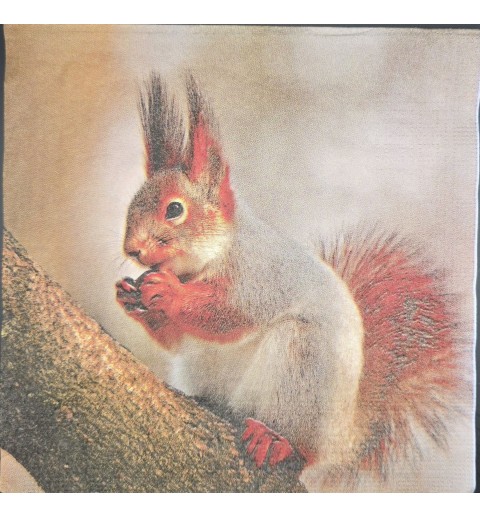 Serviette Foto von Eichhörnchen auf Ast