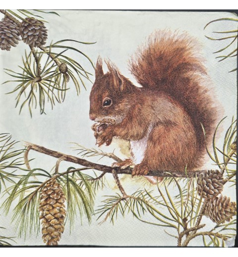 Serviette Eichhörnchen essend auf Ast/Tannenzapfen