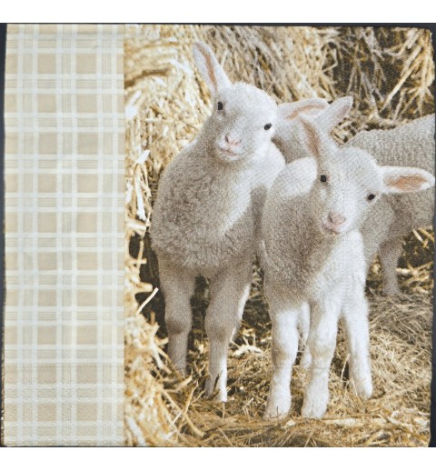 Serviette Zwei Lamm im Stroh/Karomuster beige