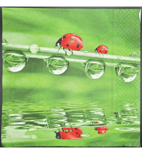 Serviette Marienkäfer auf Grashalm/Wassertropfen grün-rot
