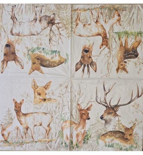 Serviette Reh/Hirsch/Rehkitz/Hintergrund weiss