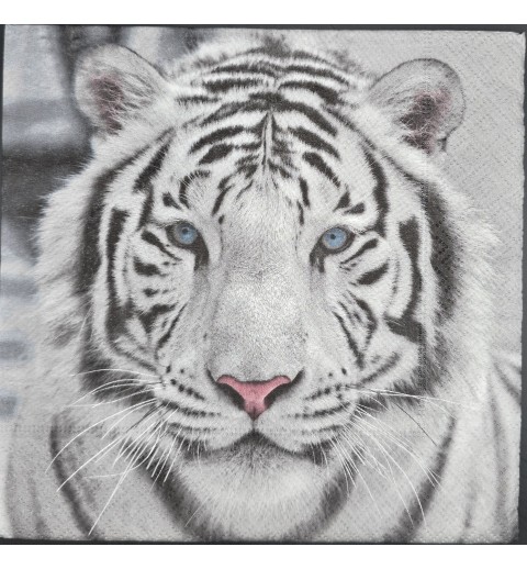 Serviette Foto Weisser Tigerkopf