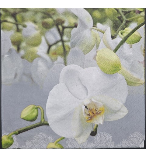 Serviette Orchidee weiss-hellgrün