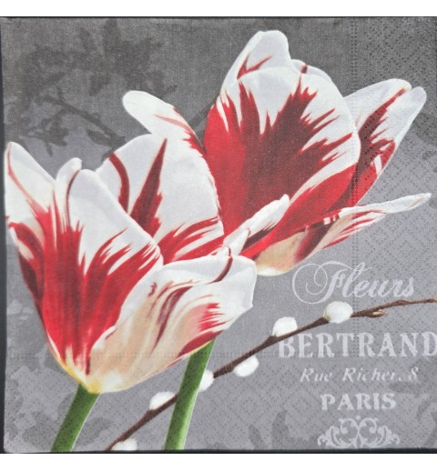 Serviette Tulpen rot-weiss