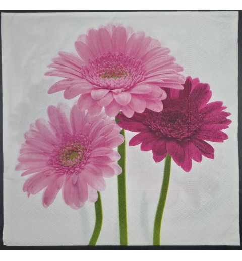 Serviette Drei Gerbera pink-rosa