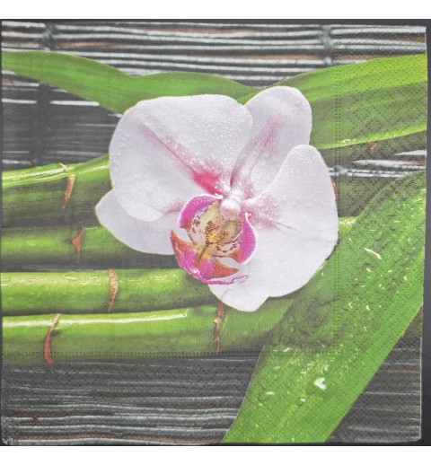 Serviette Foto Orchidee weiss-pink-grün
