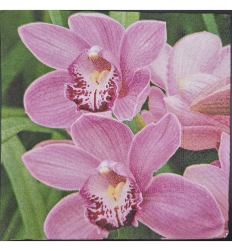 Serviette Foto Orchidee magenta