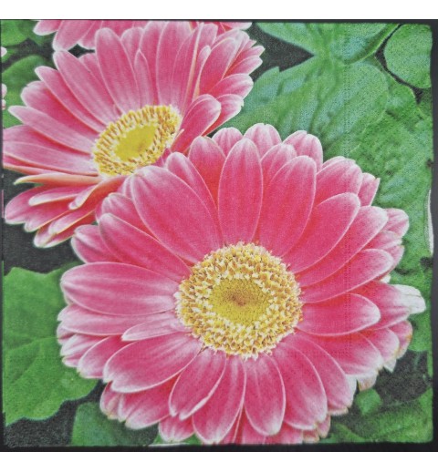 Serviette Gerbera pink/grüne Blätter