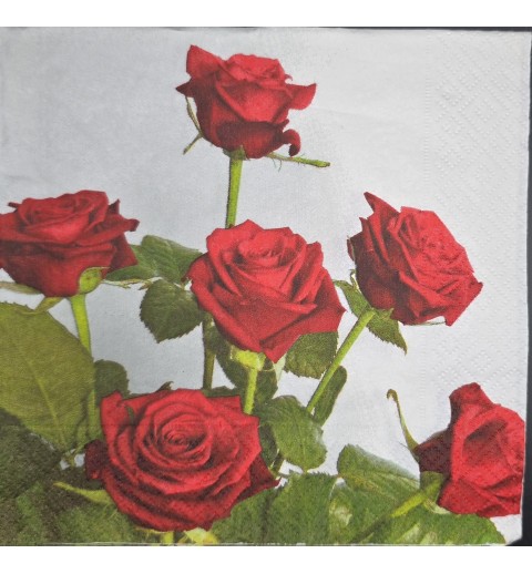 Serviette Sechs rote Rosen/Hintergrund weiss