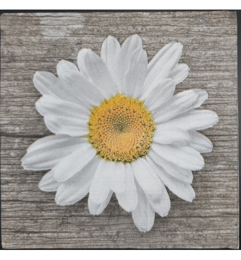 Serviette Grosse Margrite/Hintergrund Holzoptik