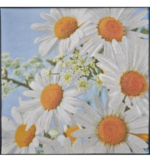 Servietten Margeriten/blauer Himmel