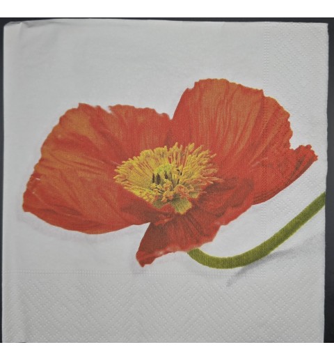 Serviette Einzelne Mohnblume/Hintergrund weiss