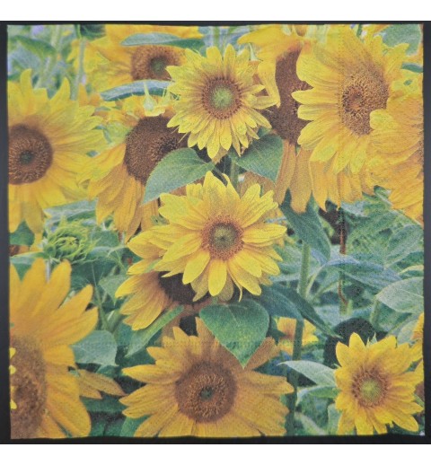 Serviette Foto Sonnenblumen Feld
