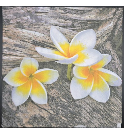 Serviette Drei Orchideen weiss-gelb/Hintergrund Holzoptik