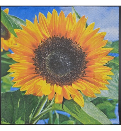 Serviette Grosse Sonnenblume/blauer Himmel