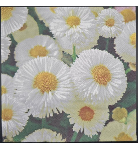 Serviette Gänseblümchen